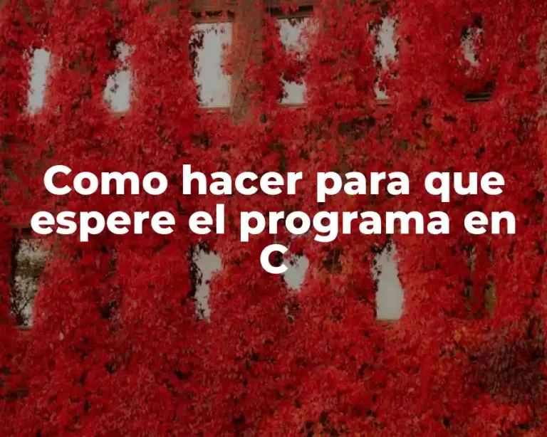 Como hacer para que espere el programa en C