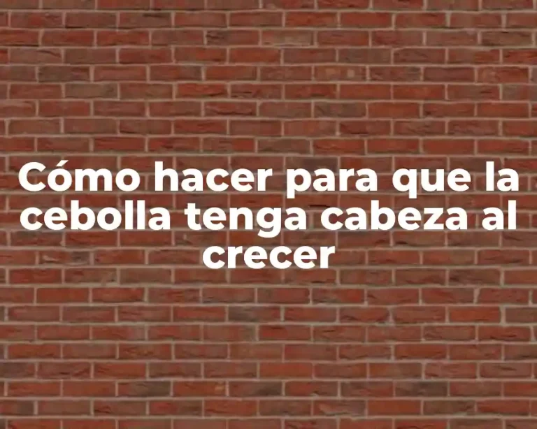 Cómo hacer para que la cebolla tenga cabeza al crecer