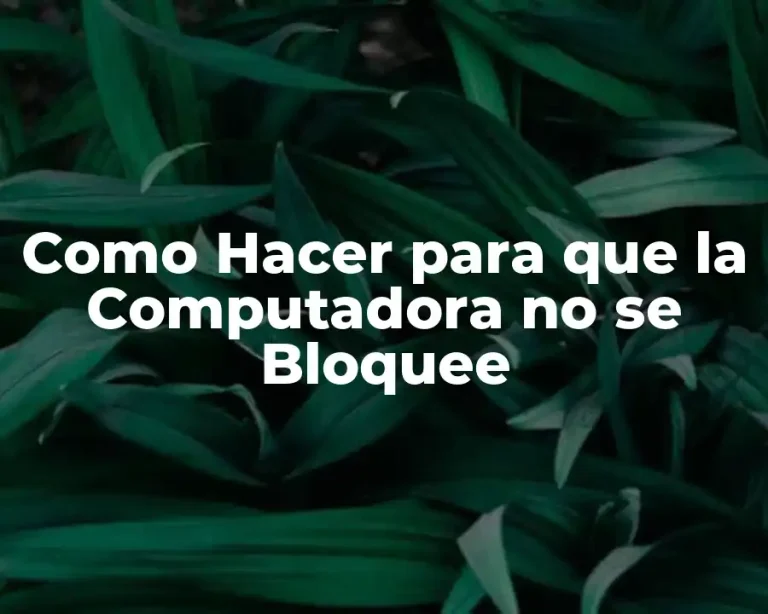 Como Hacer para que la Computadora no se Bloquee