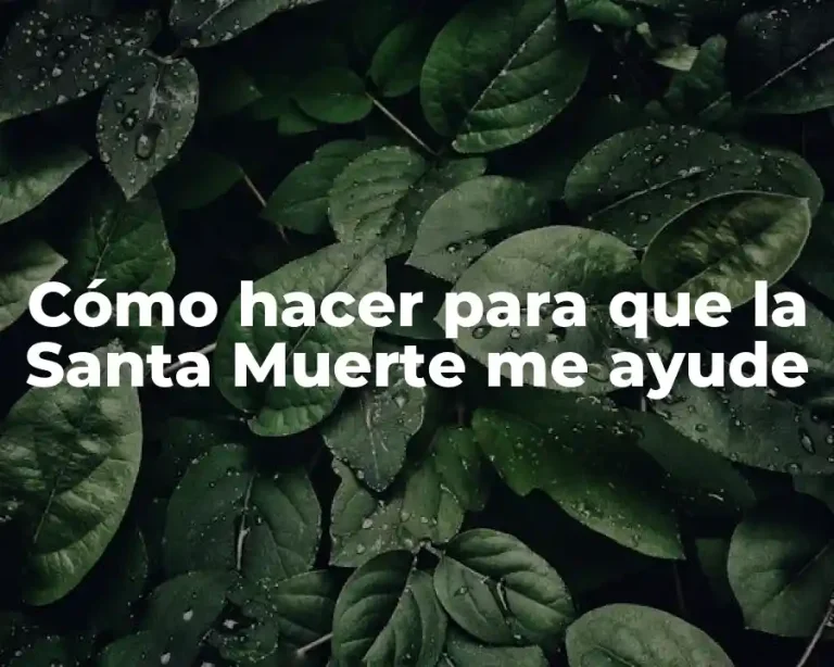 Cómo hacer para que la Santa Muerte me ayude