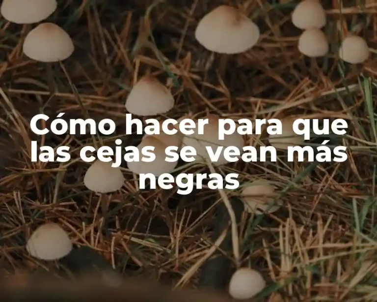 Cómo hacer para que las cejas se vean más negras