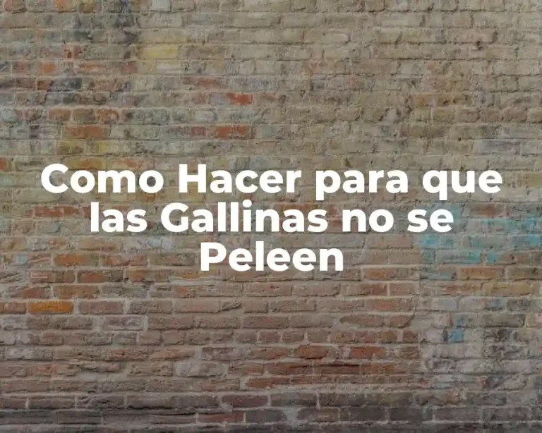 Como Hacer para que las Gallinas no se Peleen