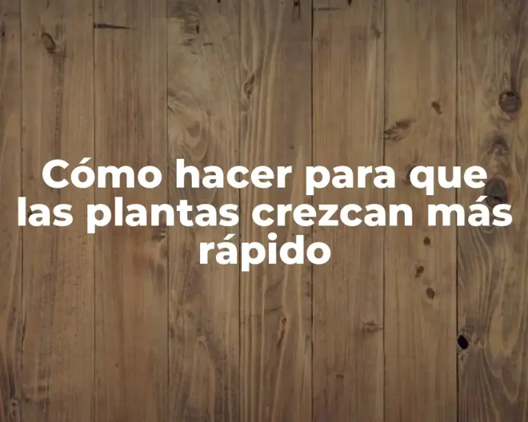 Cómo hacer para que las plantas crezcan más rápido