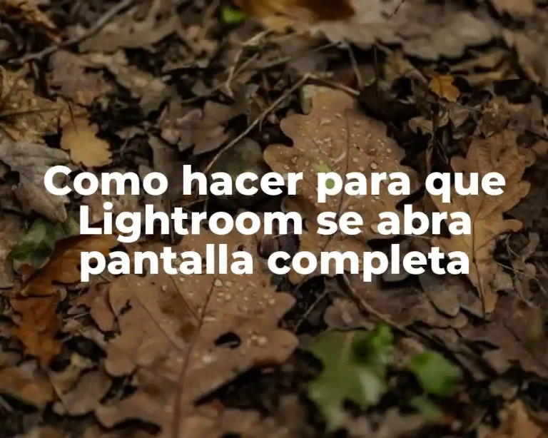 Como hacer para que Lightroom se abra pantalla completa