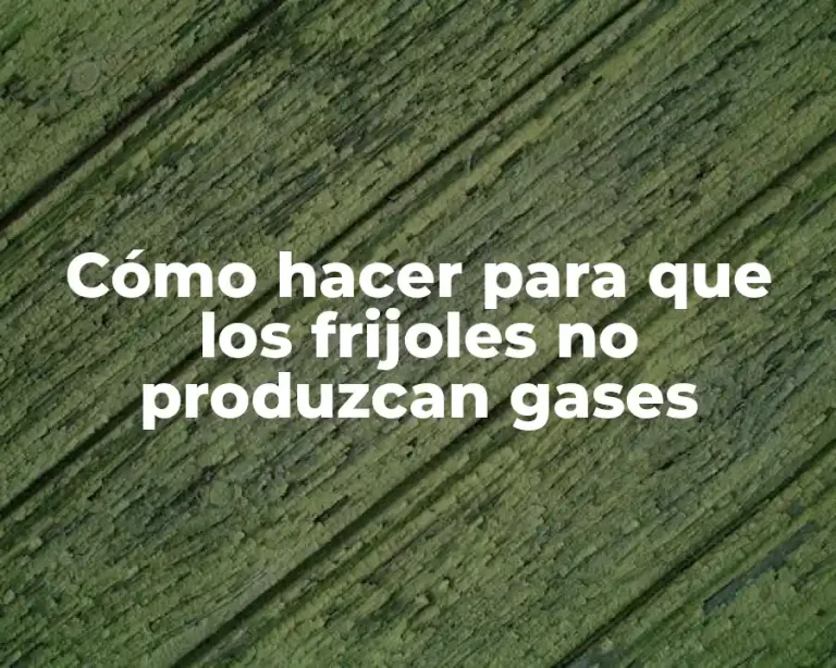 Cómo hacer para que los frijoles no produzcan gases