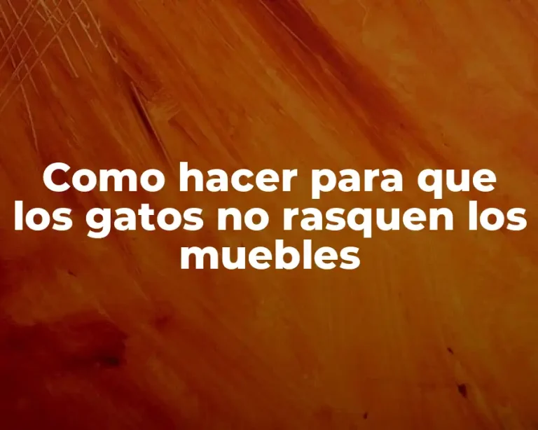 Como hacer para que los gatos no rasquen los muebles