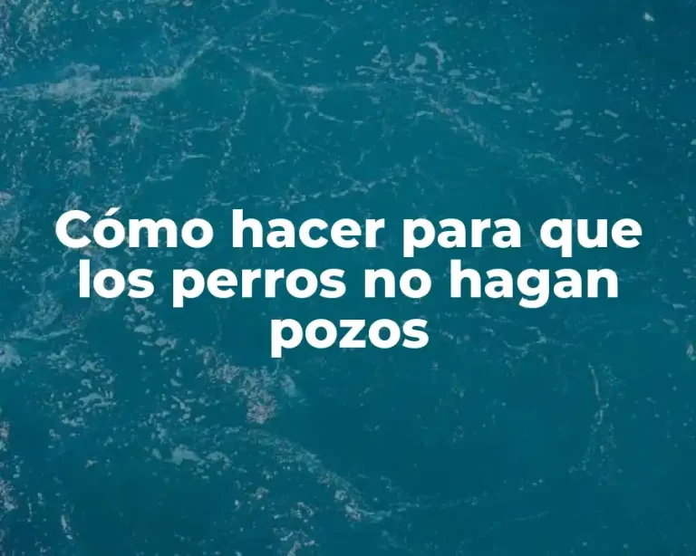 Cómo hacer para que los perros no hagan pozos