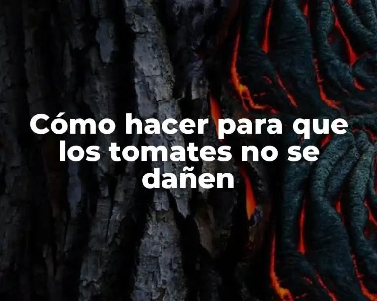 Cómo hacer para que los tomates no se dañen