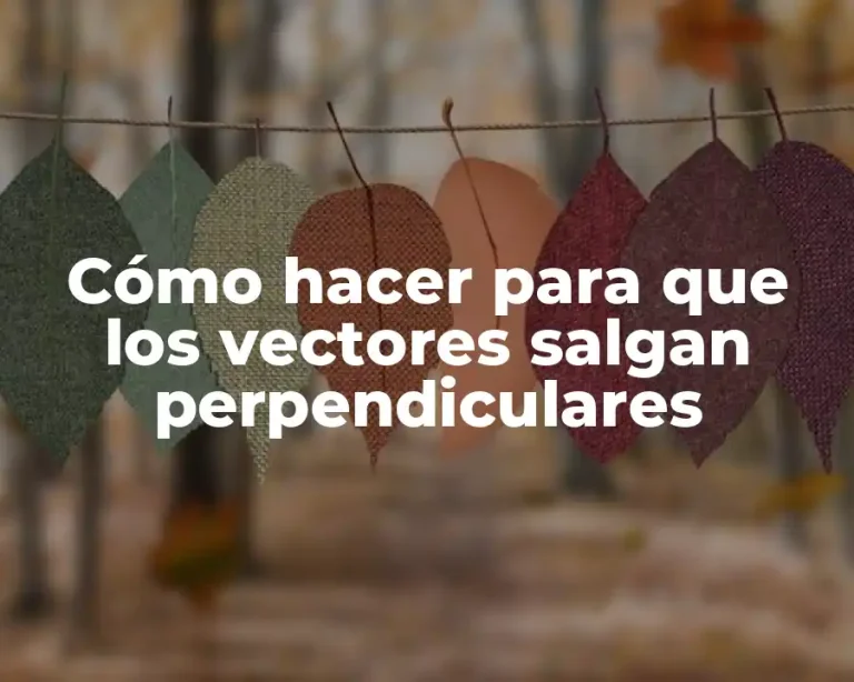 Cómo hacer para que los vectores salgan perpendiculares