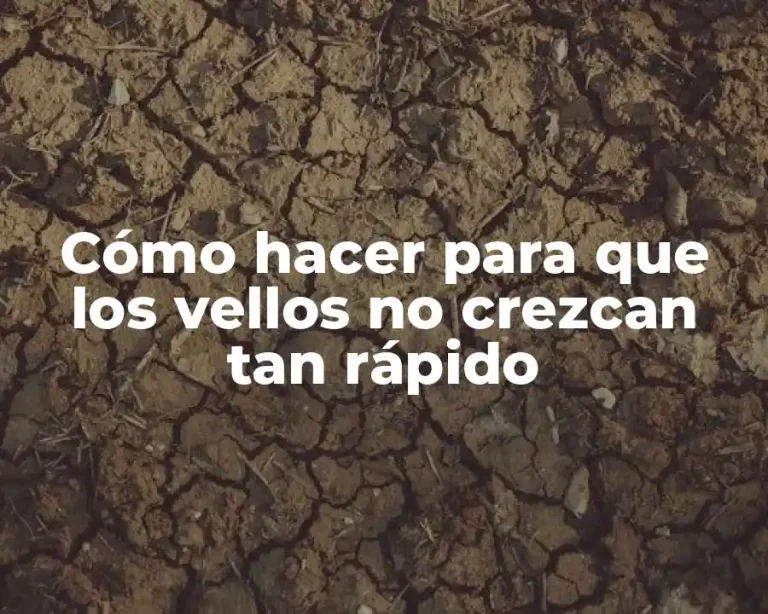 Cómo hacer para que los vellos no crezcan tan rápido