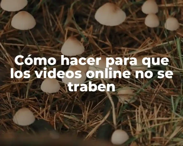 Cómo hacer para que los videos online no se traben