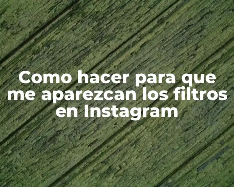 Como hacer para que me aparezcan los filtros en Instagram