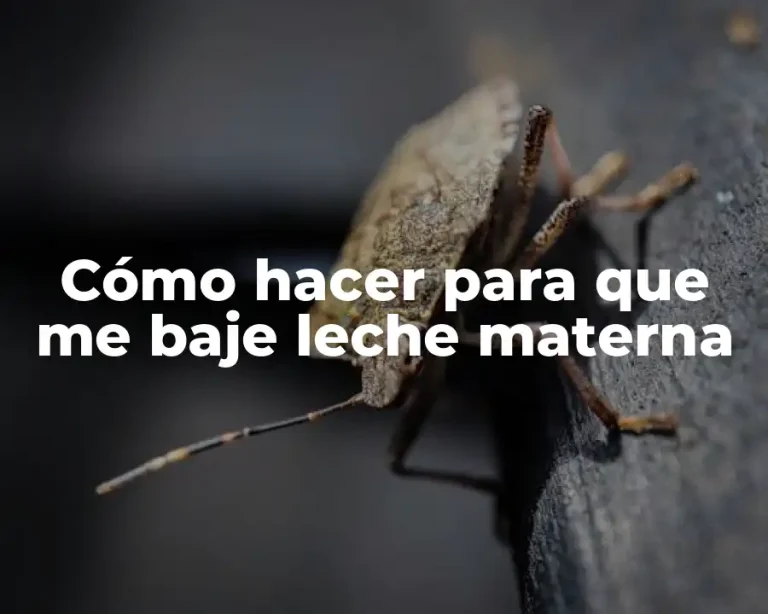 Cómo hacer para que me baje leche materna