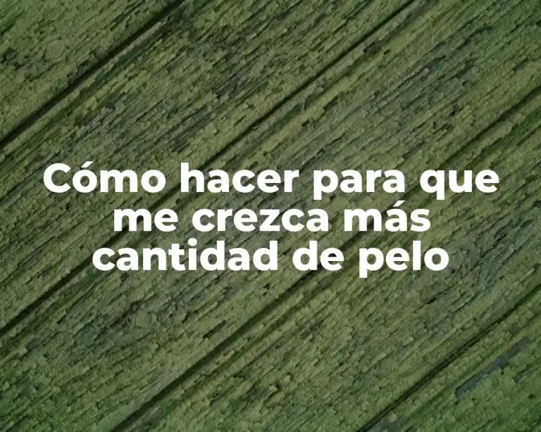 Cómo hacer para que me crezca más cantidad de pelo