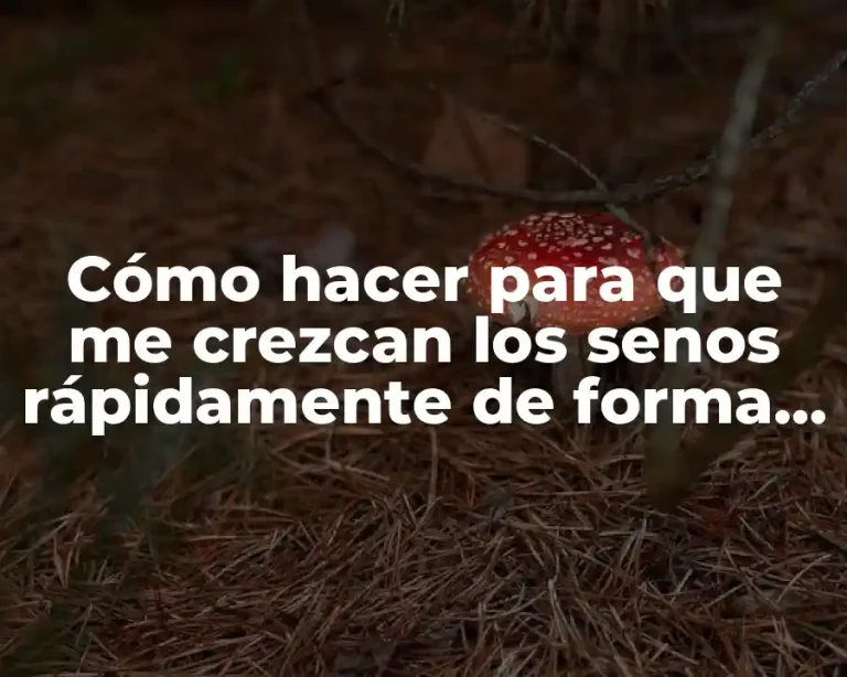 Cómo hacer para que me crezcan los senos rápidamente de forma natural