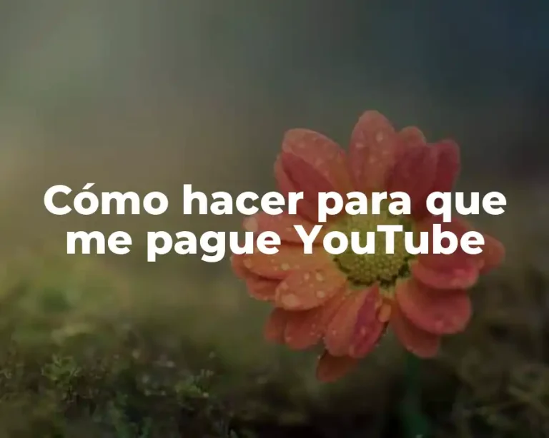 Cómo hacer para que me pague YouTube