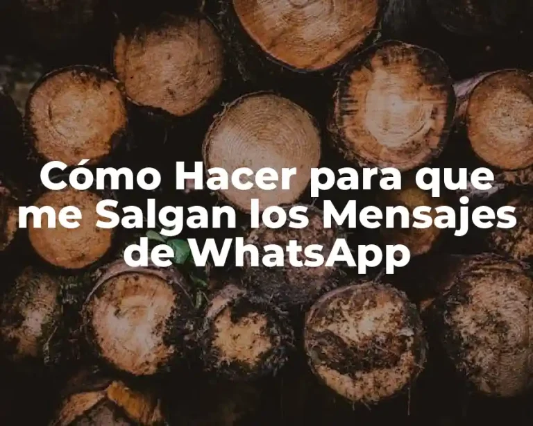 Cómo Hacer para que me Salgan los Mensajes de WhatsApp