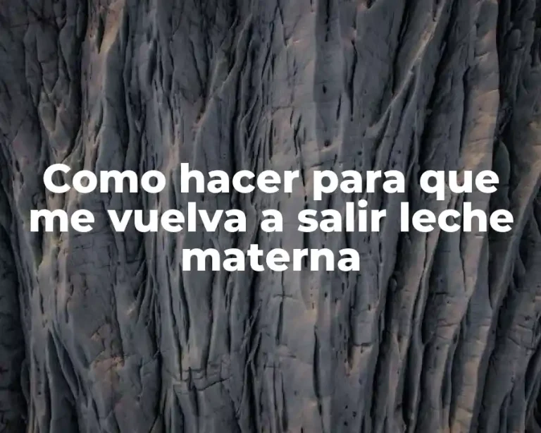 Como hacer para que me vuelva a salir leche materna