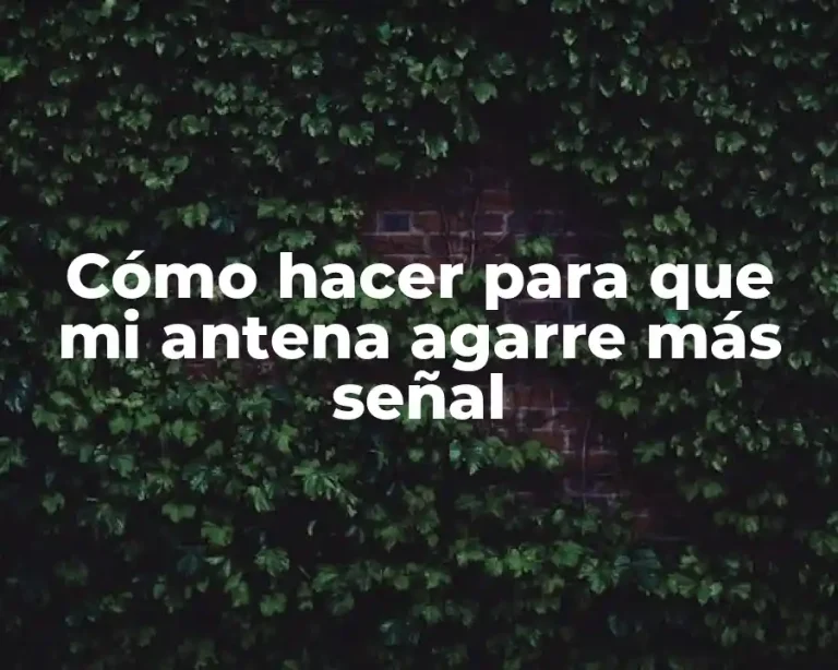 Cómo hacer para que mi antena agarre más señal