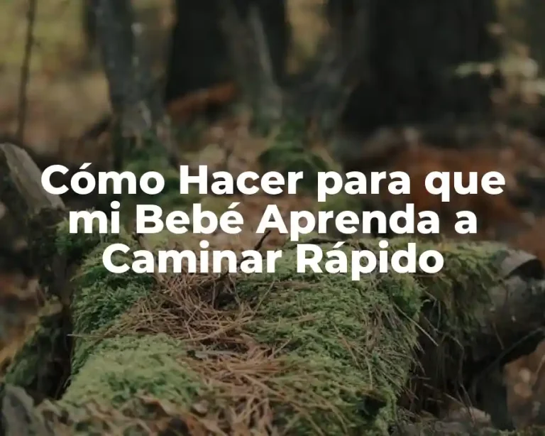 Cómo Hacer para que mi Bebé Aprenda a Caminar Rápido