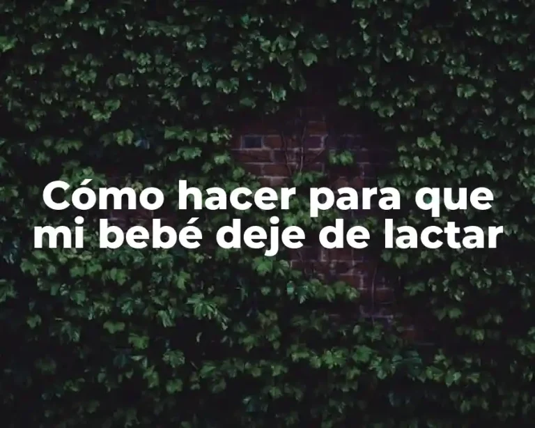 Cómo hacer para que mi bebé deje de lactar