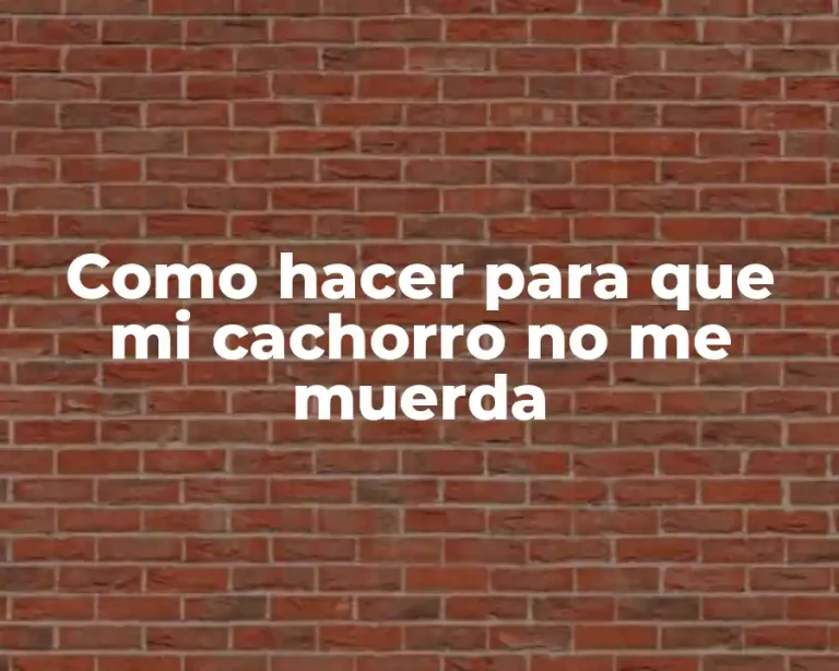 Como hacer para que mi cachorro no me muerda