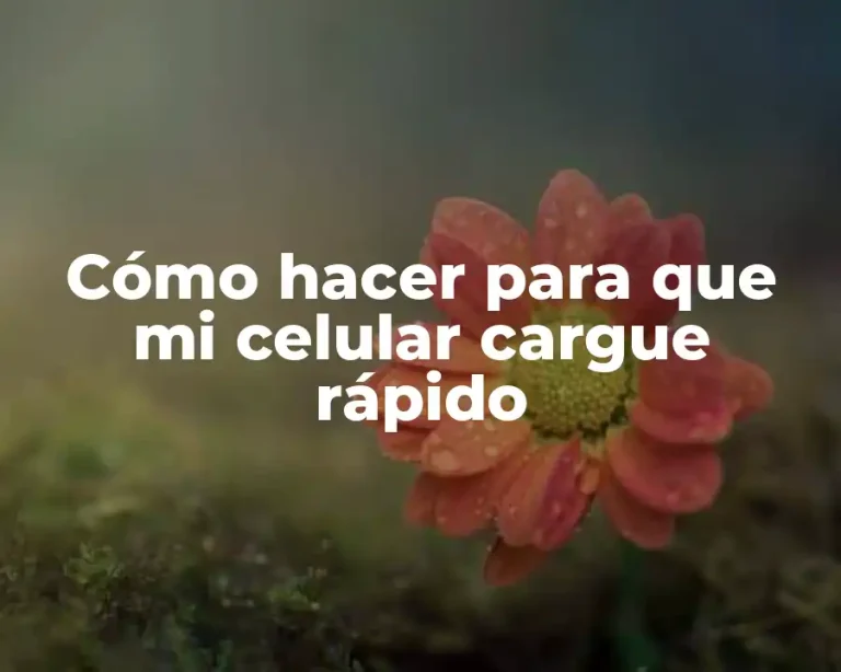 Cómo hacer para que mi celular cargue rápido