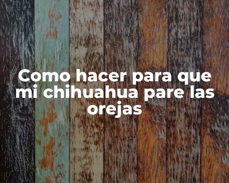 Como hacer para que mi chihuahua pare las orejas