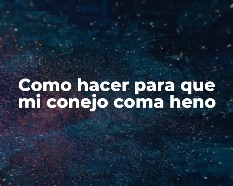 Como hacer para que mi conejo coma heno