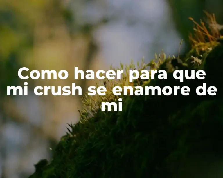 Como hacer para que mi crush se enamore de mi