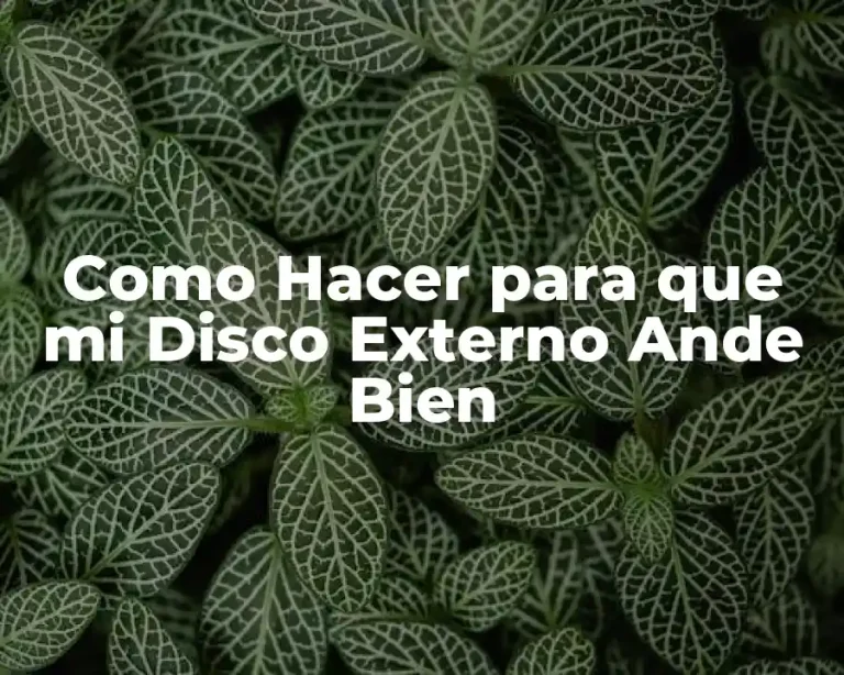 Como Hacer para que mi Disco Externo Ande Bien