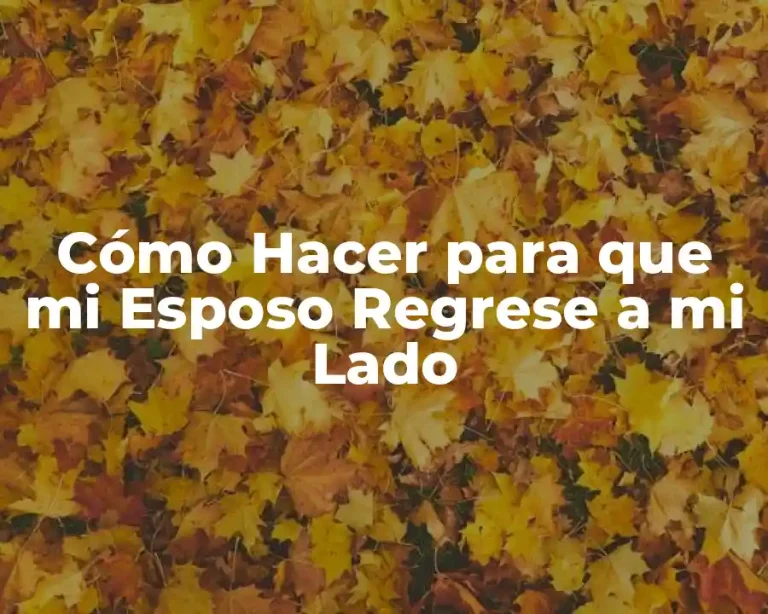 Cómo Hacer para que mi Esposo Regrese a mi Lado