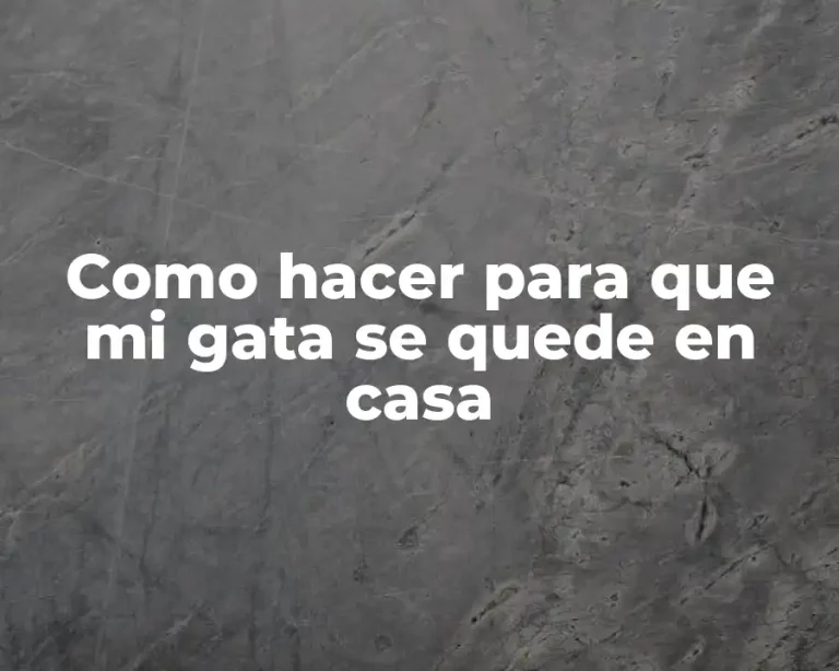 Como hacer para que mi gata se quede en casa