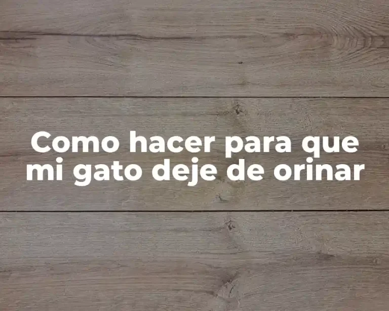 Como hacer para que mi gato deje de orinar