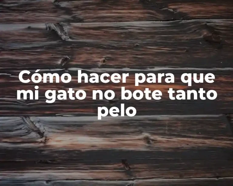 Cómo hacer para que mi gato no bote tanto pelo