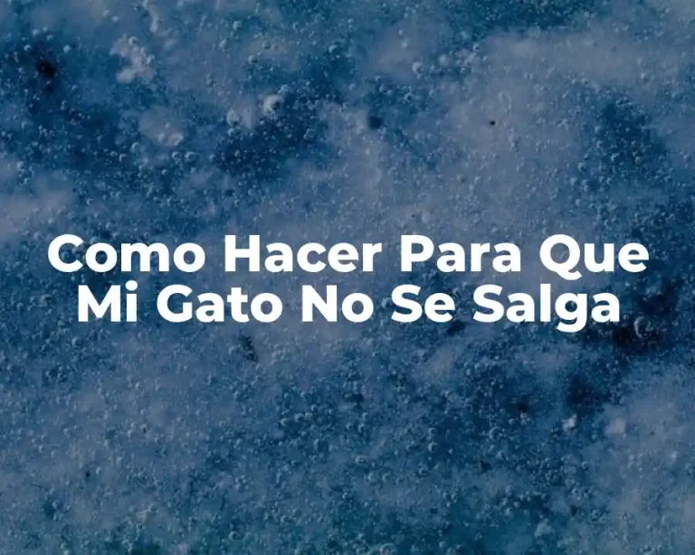 Como Hacer Para Que Mi Gato No Se Salga