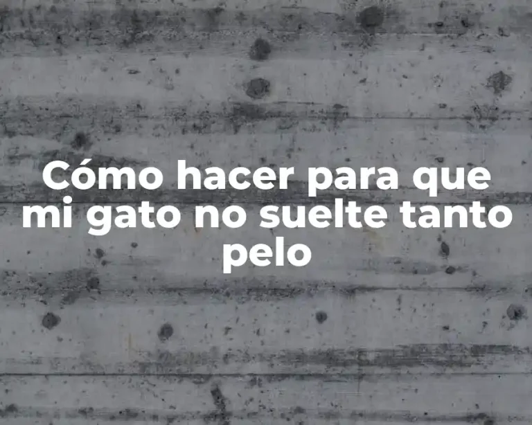 Cómo hacer para que mi gato no suelte tanto pelo