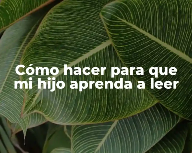 Cómo hacer para que mi hijo aprenda a leer
