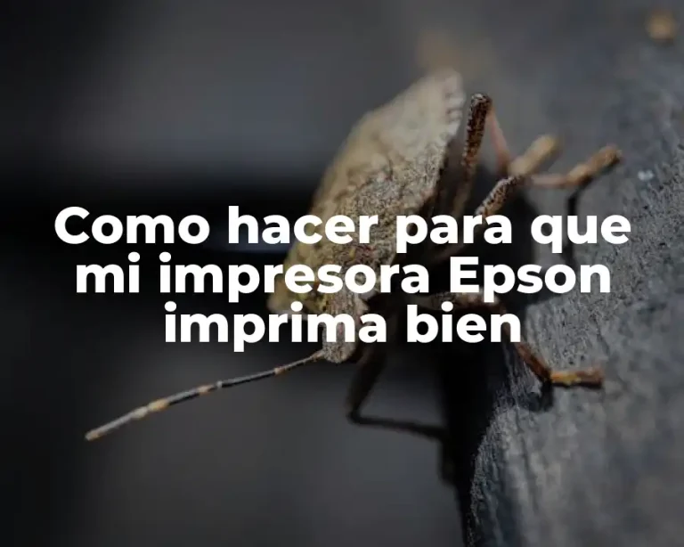 Como hacer para que mi impresora Epson imprima bien