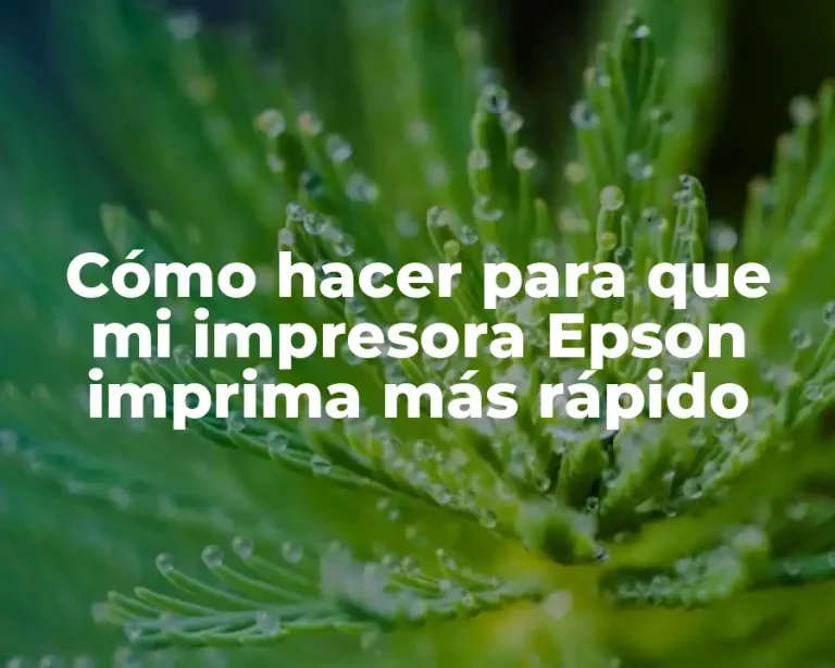 Cómo hacer para que mi impresora Epson imprima más rápido