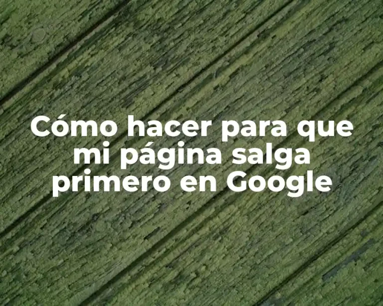 Cómo hacer para que mi página salga primero en Google