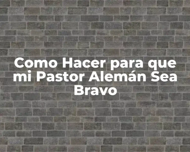 Como Hacer para que mi Pastor Alemán Sea Bravo