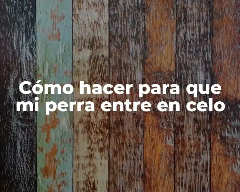 Cómo hacer para que mi perra entre en celo