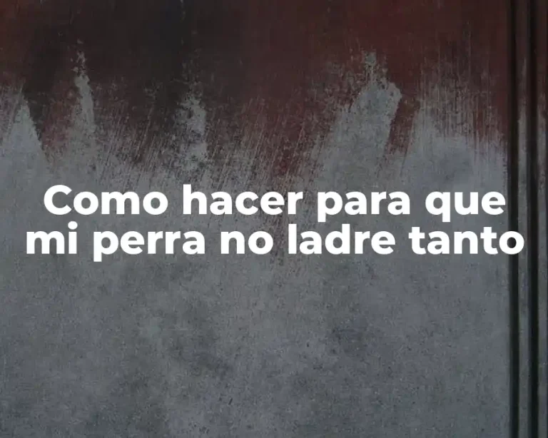 Como hacer para que mi perra no ladre tanto