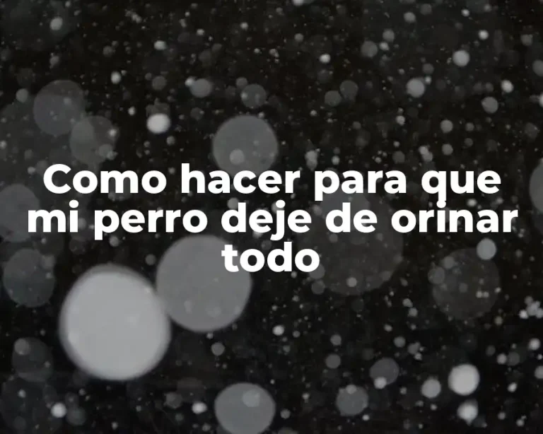 Como hacer para que mi perro deje de orinar todo