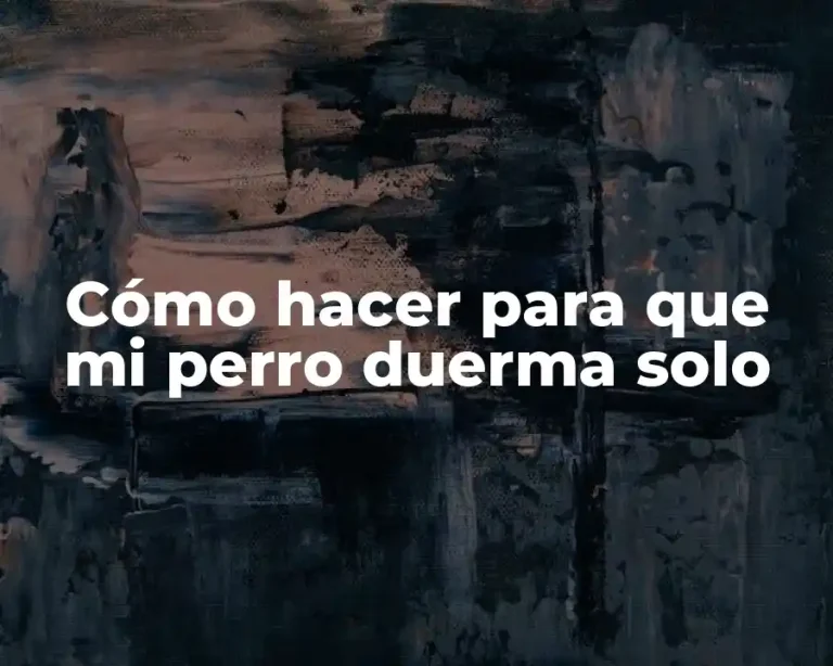 Cómo hacer para que mi perro duerma solo