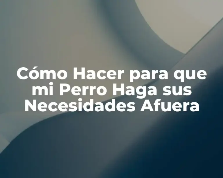 Cómo Hacer para que mi Perro Haga sus Necesidades Afuera