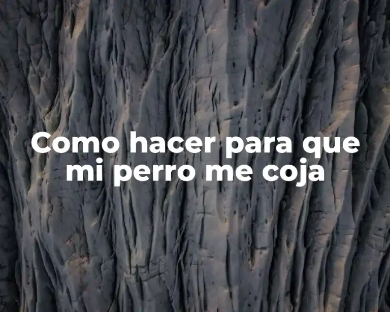 Como hacer para que mi perro me coja