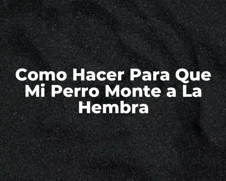 Como Hacer Para Que Mi Perro Monte a La Hembra