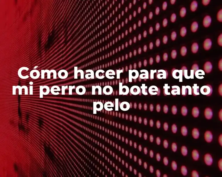 Cómo hacer para que mi perro no bote tanto pelo